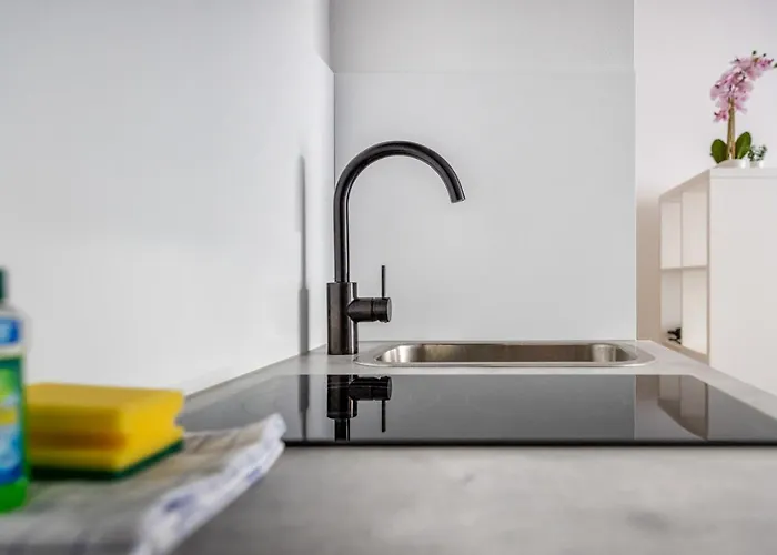 公寓 Mit Vier Einzelboxspringbetten - Netflix 戈赫